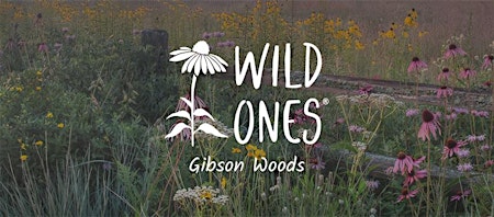 Gibson Woods Wild Ones 10th Biennial Native Plant Symposium