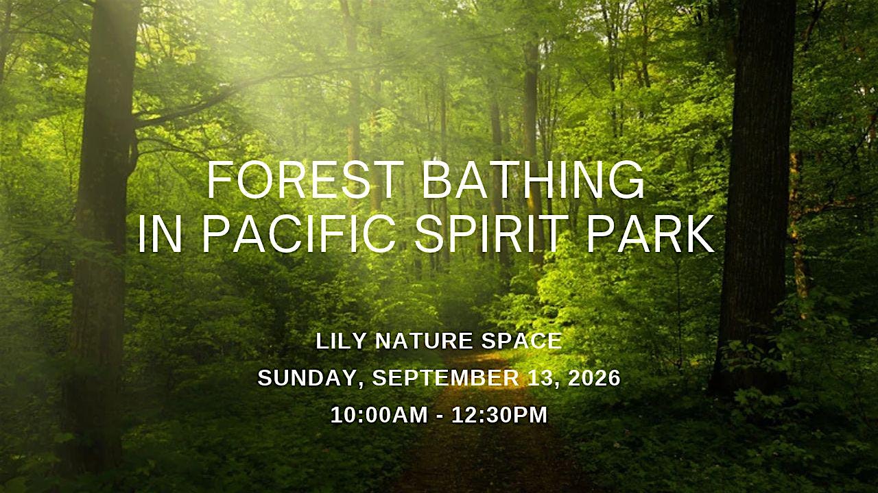 Forest Bathing in Pacific Spirit Regional Park