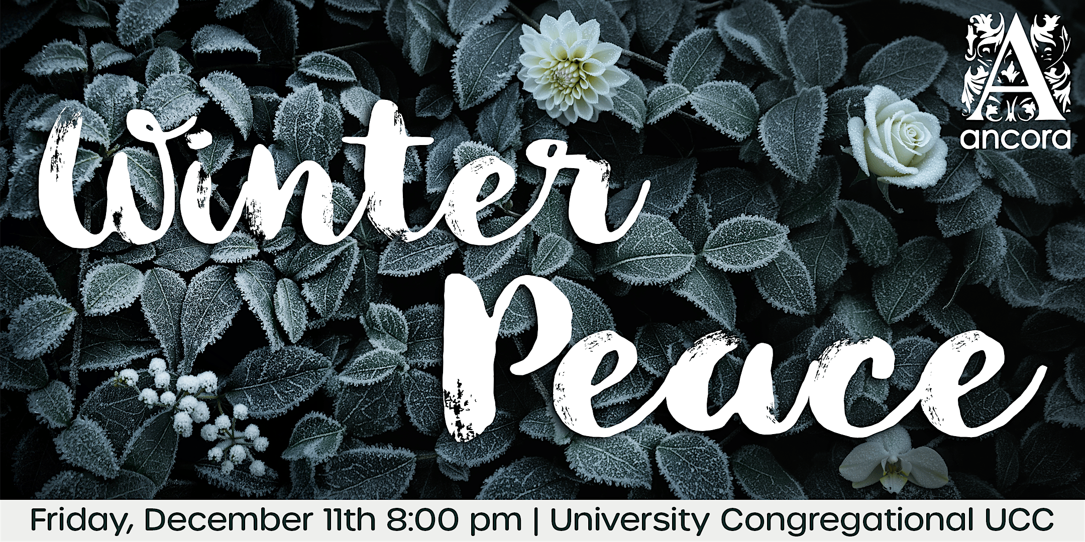 Winter Peace
