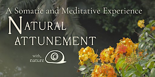 Deep Rest in Nature | Mon & Thurs, Botanic Gardens
