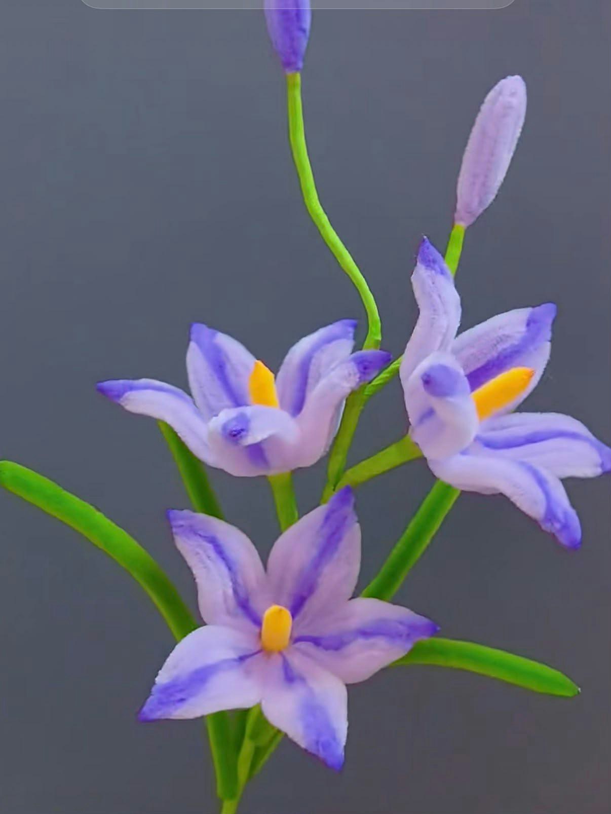 Il ronghua: l'antica arte cinese dei fiori di velluto