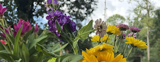 Bloom & Belong: A Creative Wellness Mini-Retreat