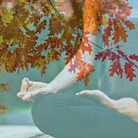 Ayurveda for Fall: Yoga, Nourishment + Seasonal Self-Care