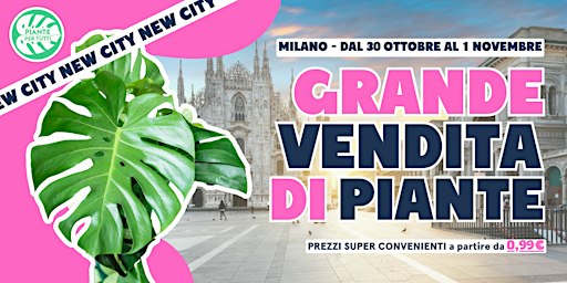 Grande vendita di piante - Milano