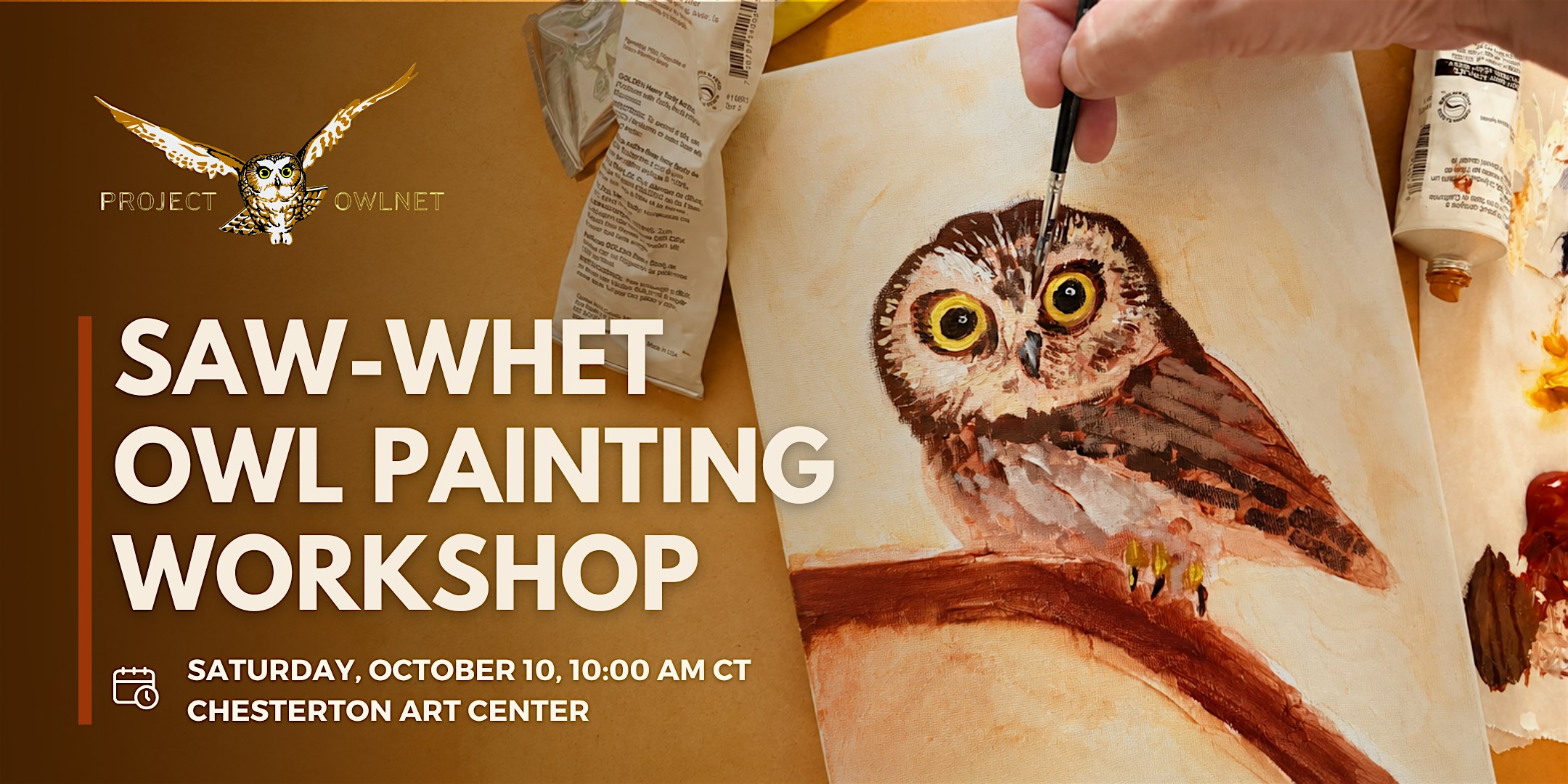 Project Owlnet Saw-whet Owl Painting Workshop