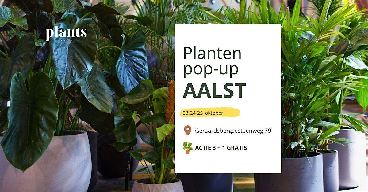 PLANTS MARKET Pop-up AALST