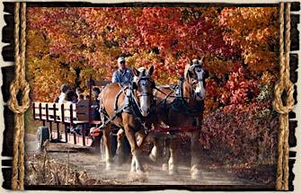 Horse Drawn Hayride and Bonfire