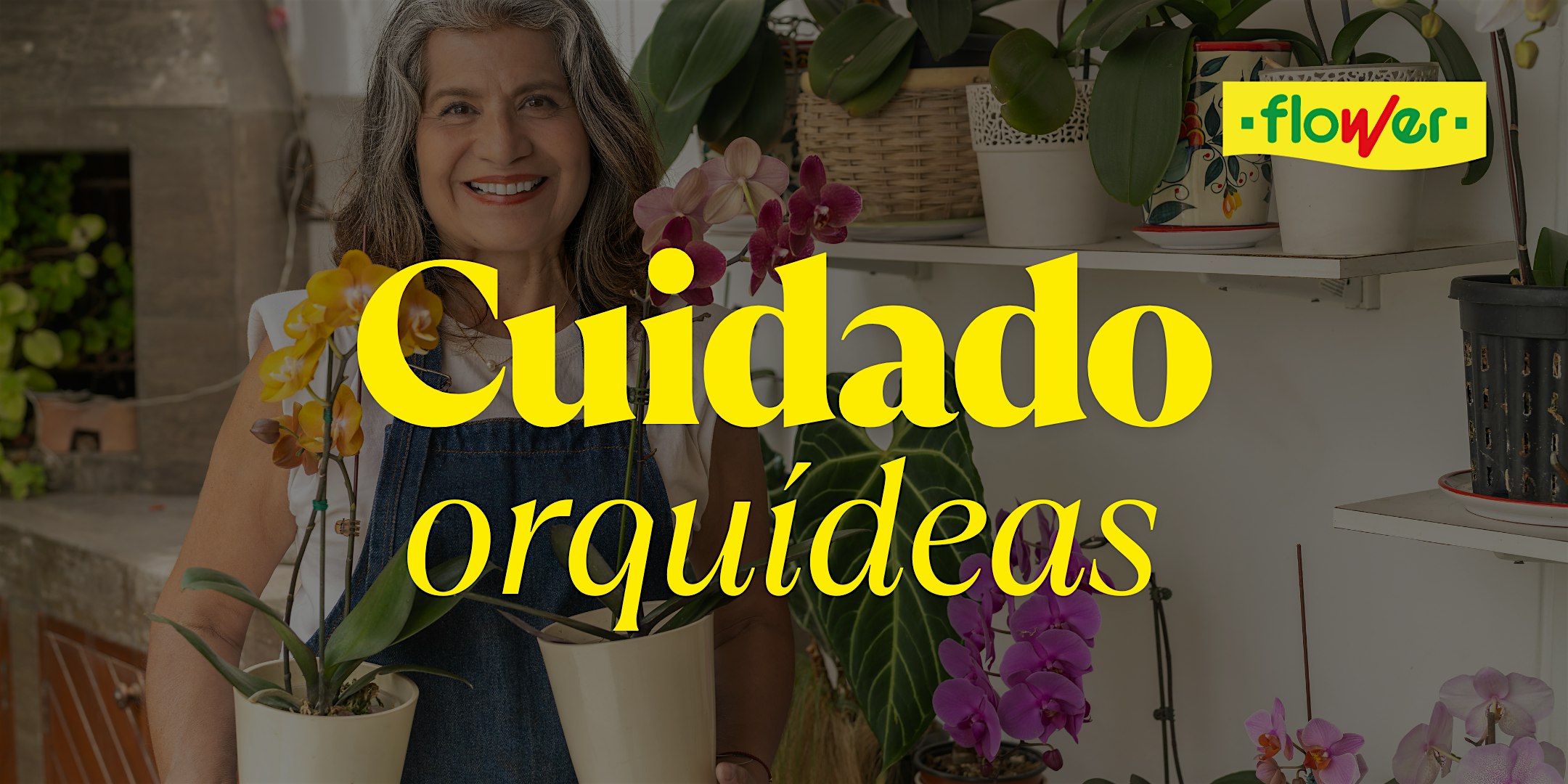 Taller Cura d'Orquídies a Jarbric Blanes | Flower Jardineria