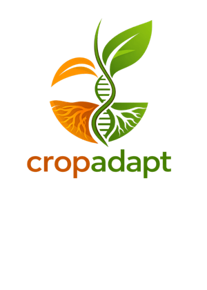CROPADAPT2026 | Adapt to thrive: Enhancing Multi-Stress Tolerance for Crops