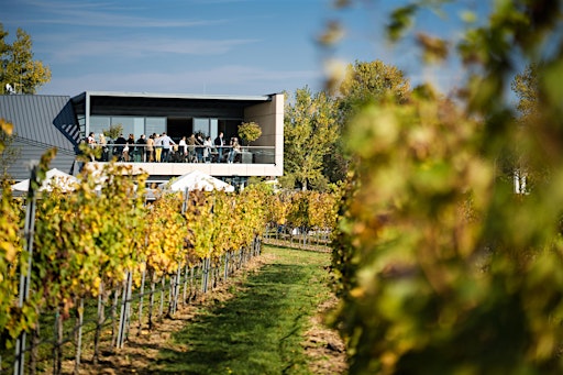 Leithaberg und mehr: Ein Abend mit dem Weingut Esterházy