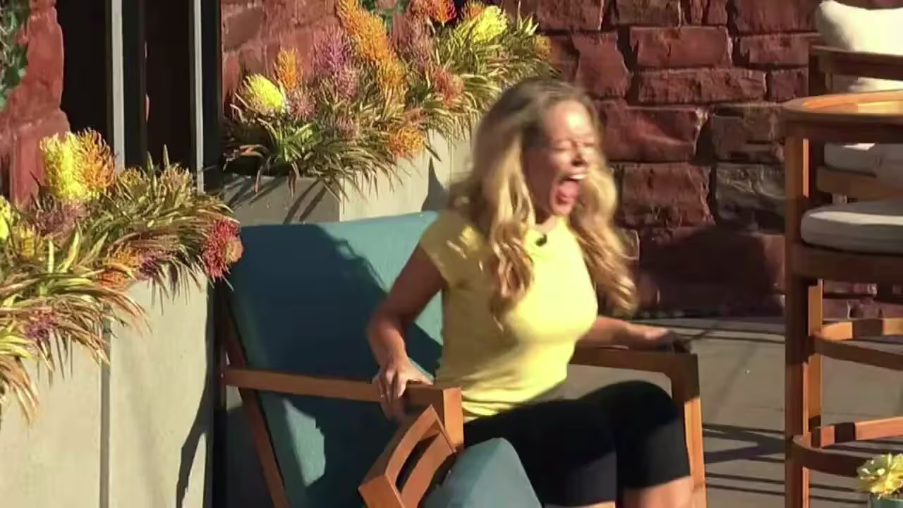 Big Brother 28: Double Eviction Watch Party