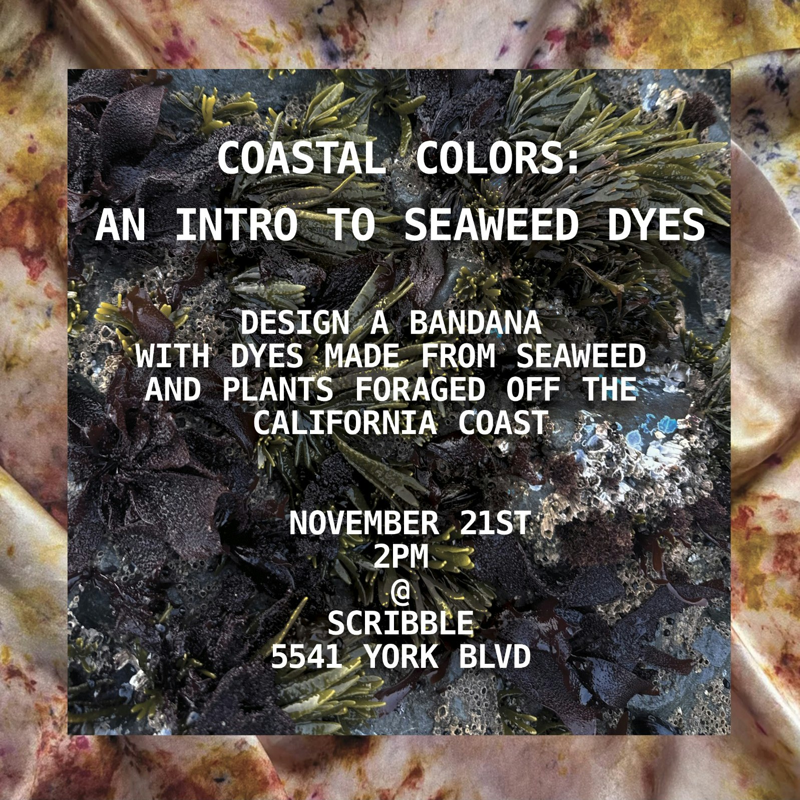 Coastal Colors: An Intro to Seaweed Dyes