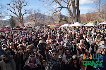 UllrGrass Music & Beer Festival - 2027
