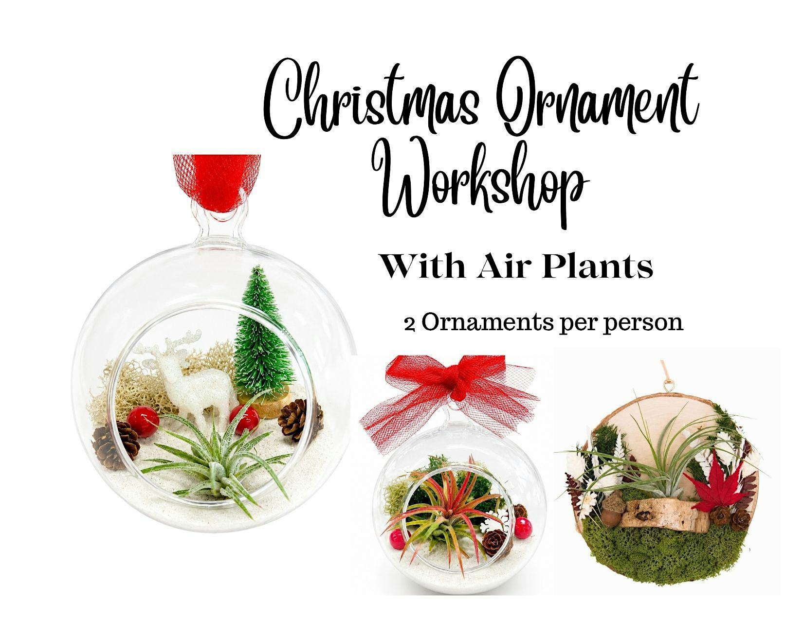 Holiday Ornament w/ Air Plants
