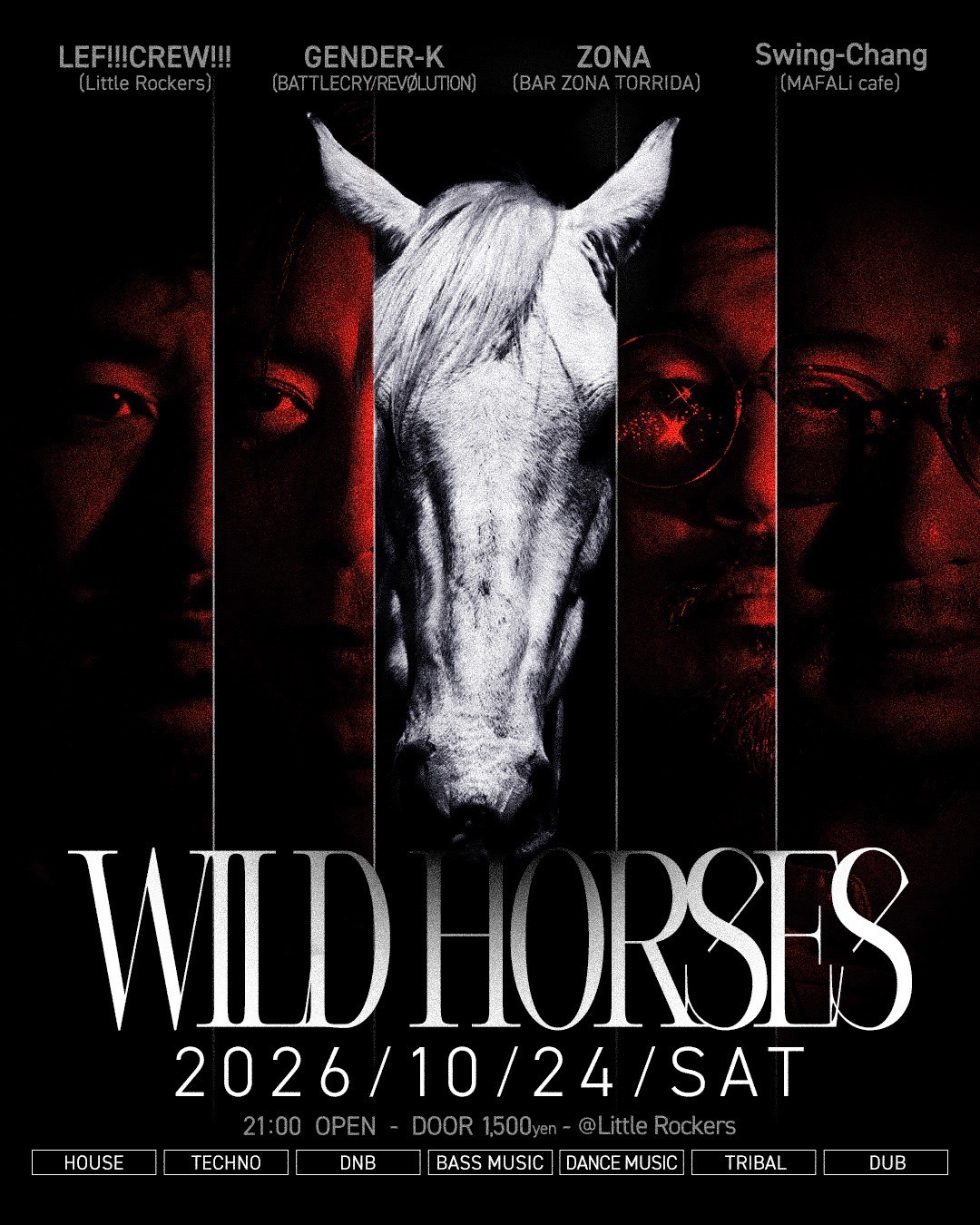 WILD HORSES