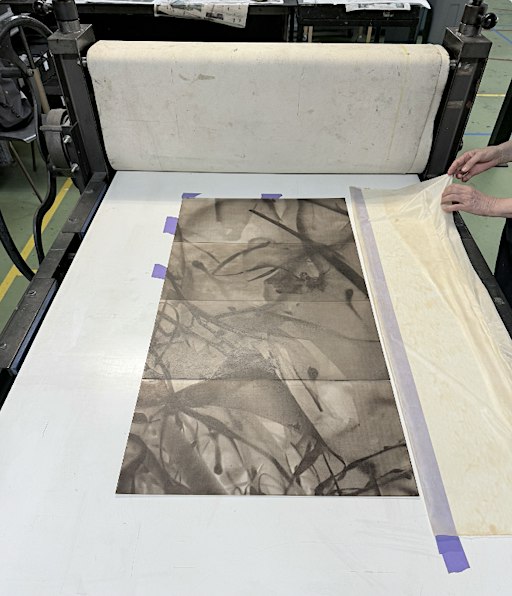 Print with Wastewater: a layered living chemistry