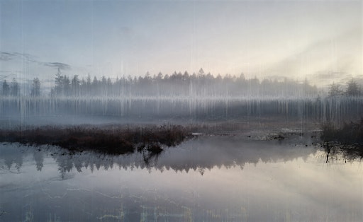 The Beaver Lake Project