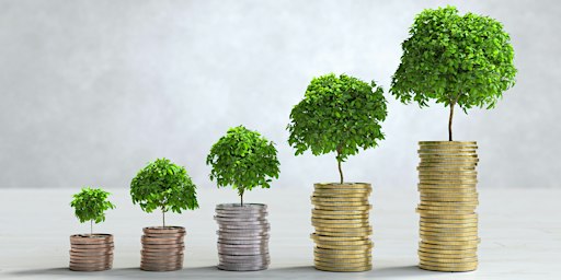 Investieren verstehen – Dein praktischer Einstieg in die Welt des Geldes