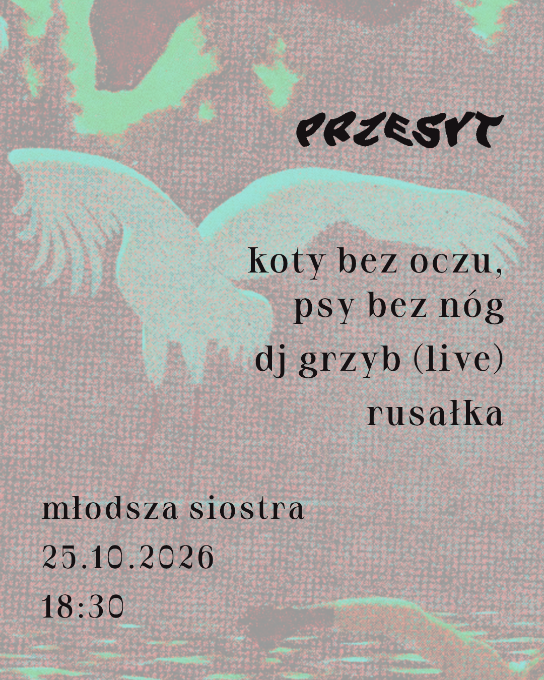 Przesyt: Koty bez oczu, psy bez nóg, DJ Grzyb (live), Rusałka (DJ-set)