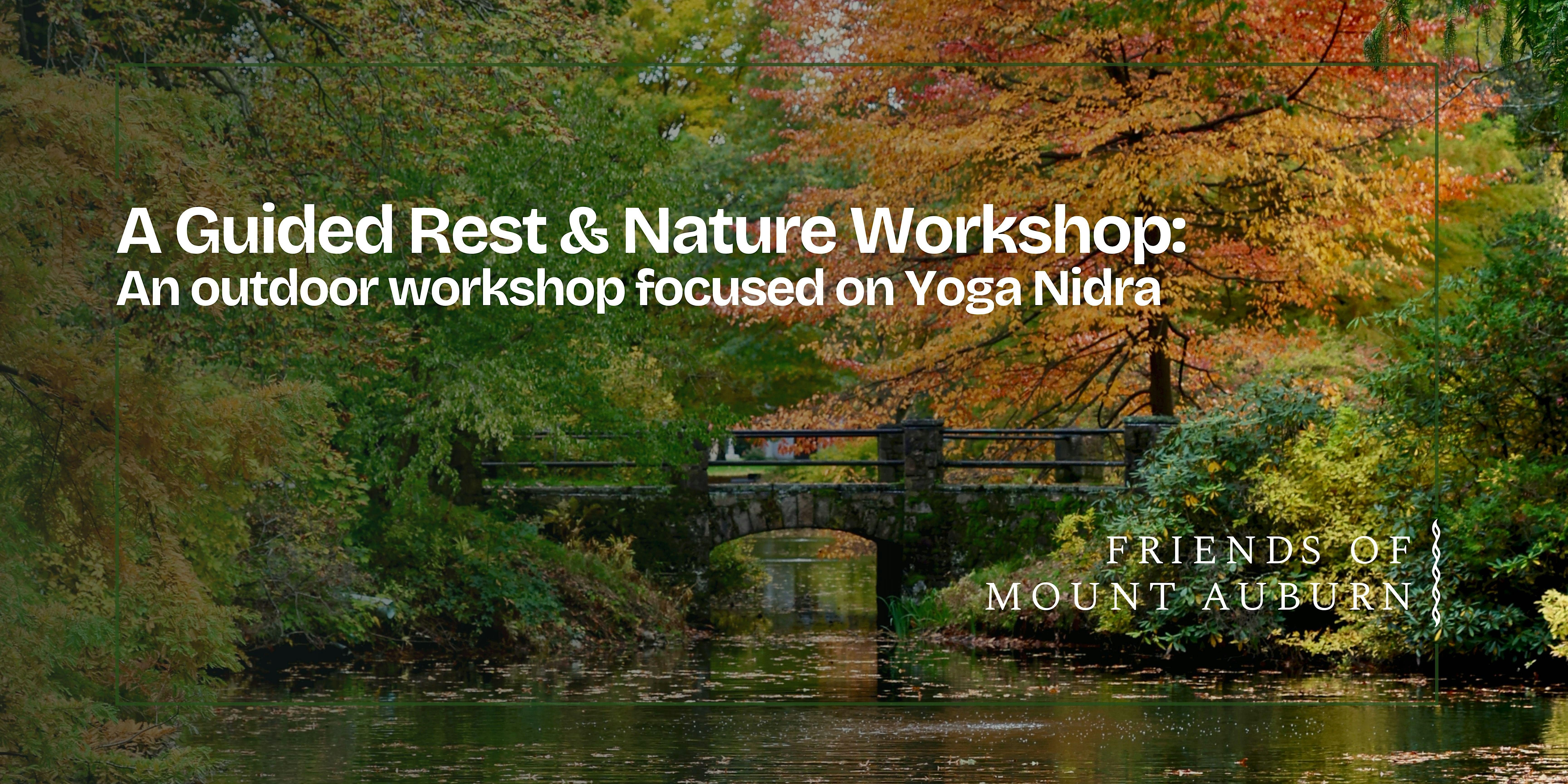 Guided Rest and Nature Walk Experience