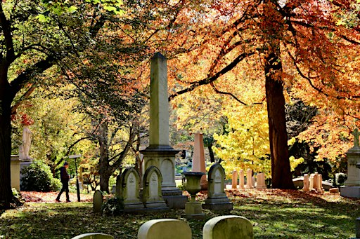 Awash in Color: A Fall Foliage Walking Tour