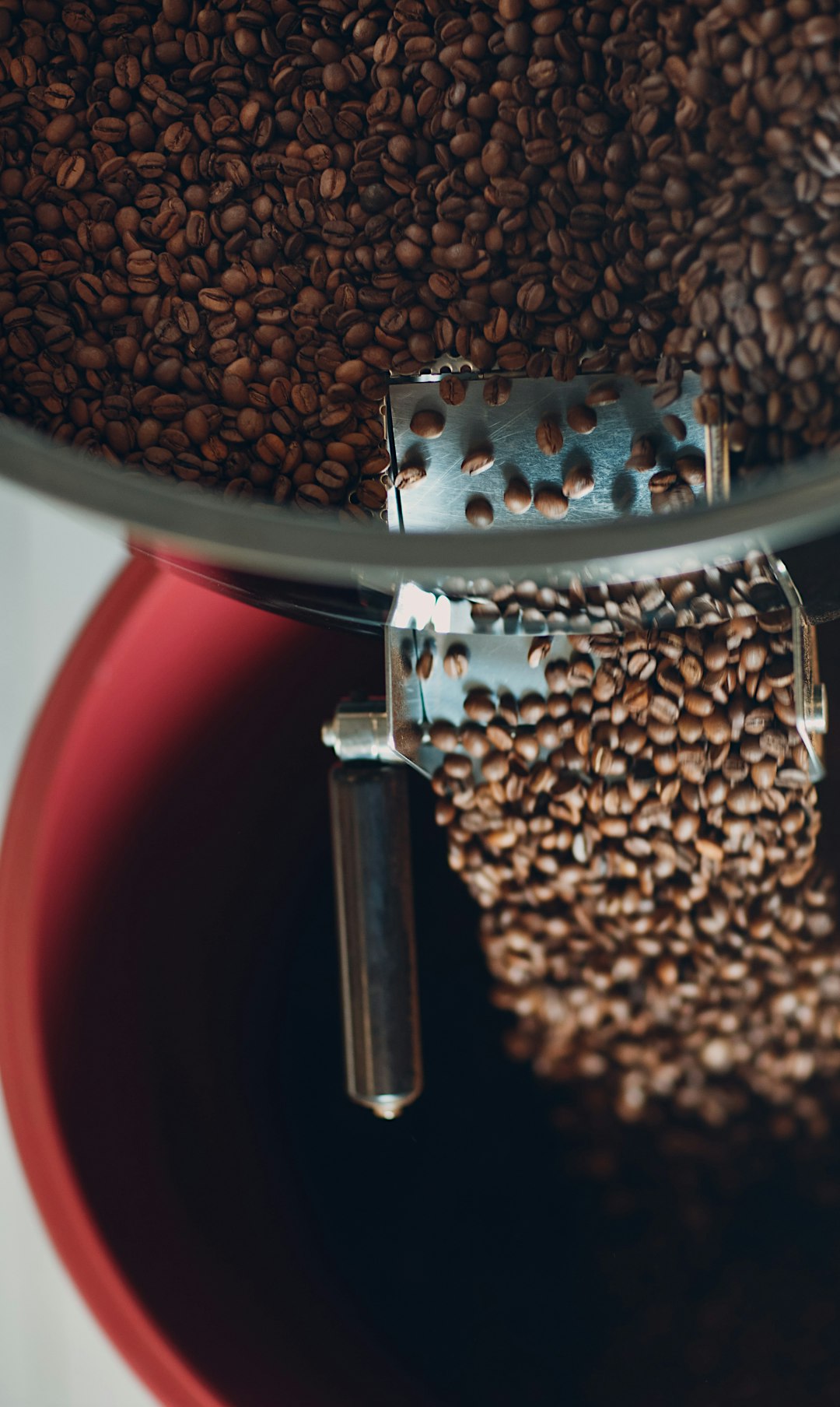 Bolivianisches Kaffee-Cupping bei BOLIVIANA
