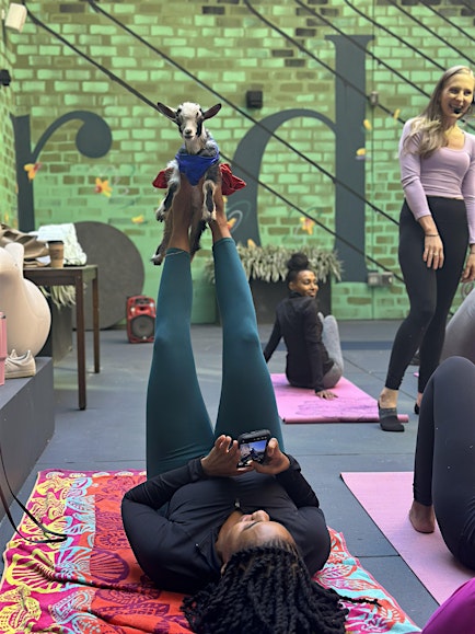 Goat Yoga at Bellyard