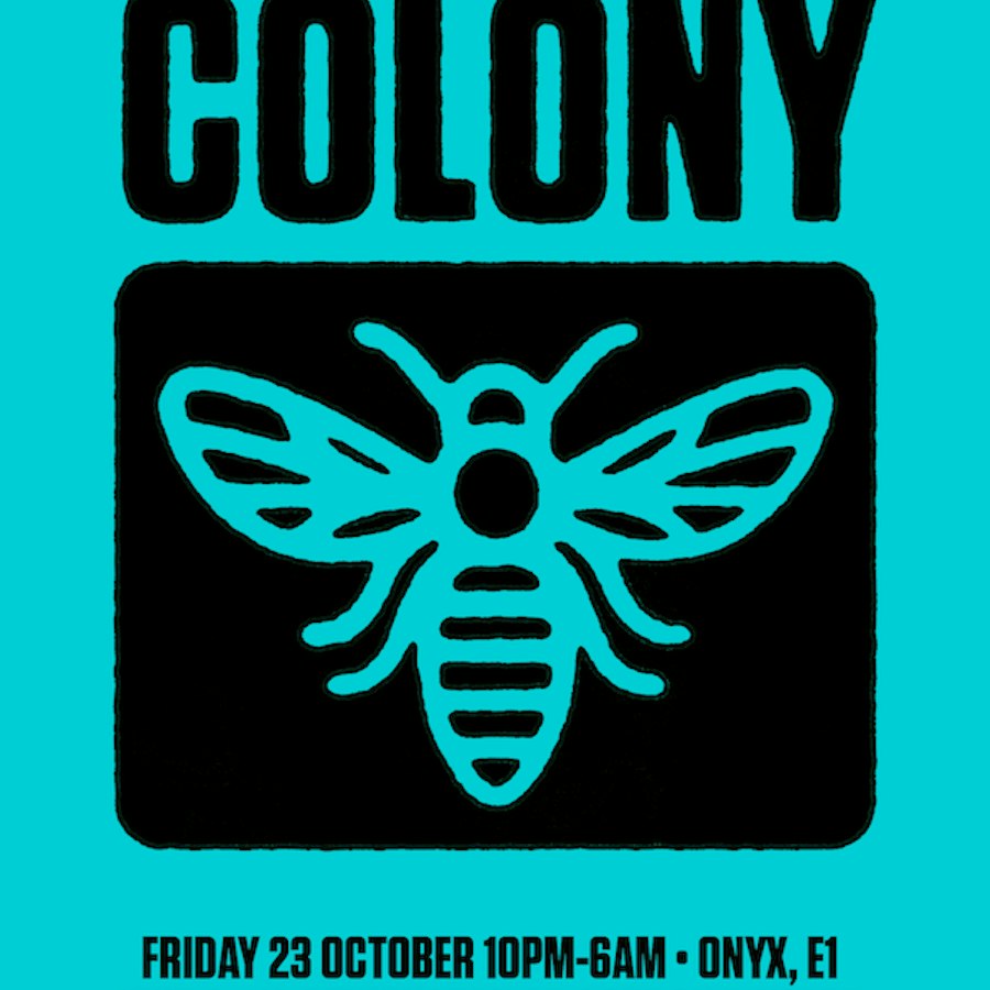 Colony: Digital, Loxy, Vektah, Kira, Trex, Visionobi