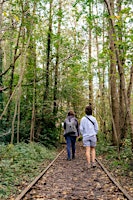 Arbres de mémoire, mémoire des arbres / Herinneringsbomen, geheugen van bomen