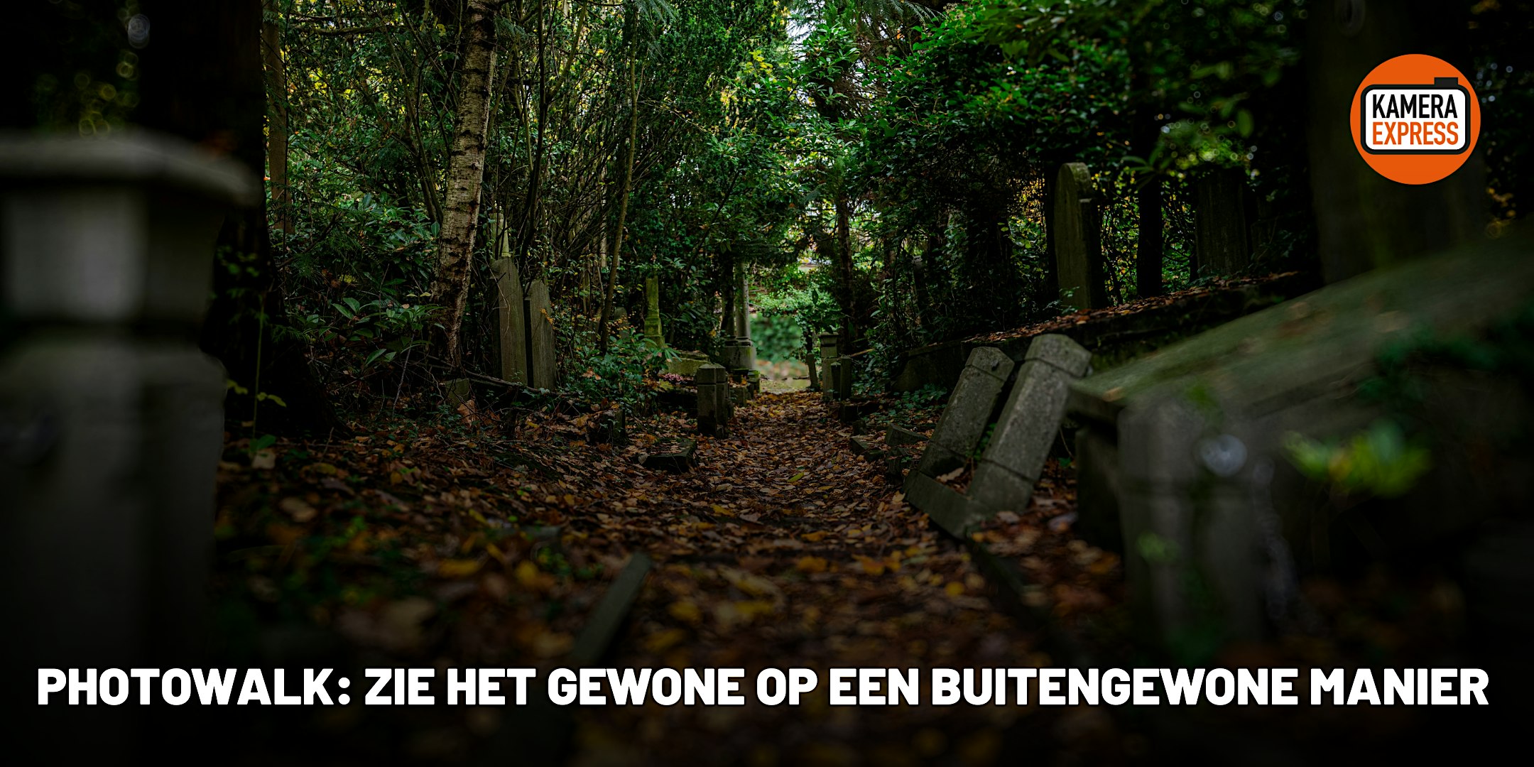 Photowalk: zie het gewone op een buitengewone manier