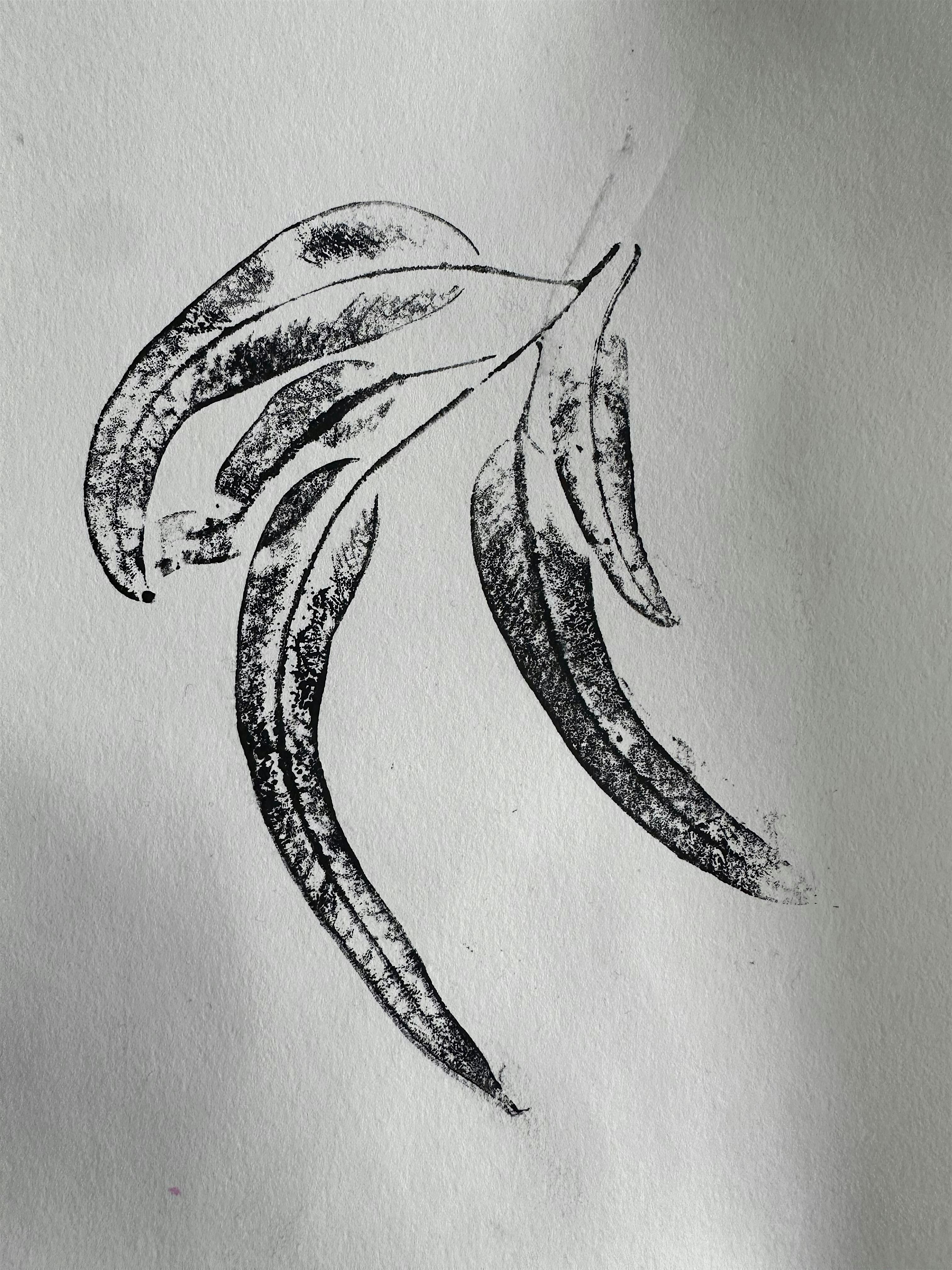 Holiday Workshop: Nature Print Making (8-12 years)