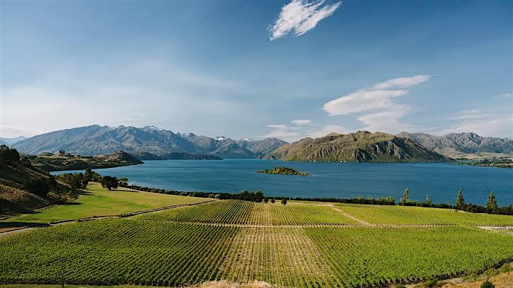 Rippon Dinner with Owner/Winemaker Nick Mills