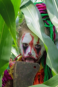 Terror In The Woods