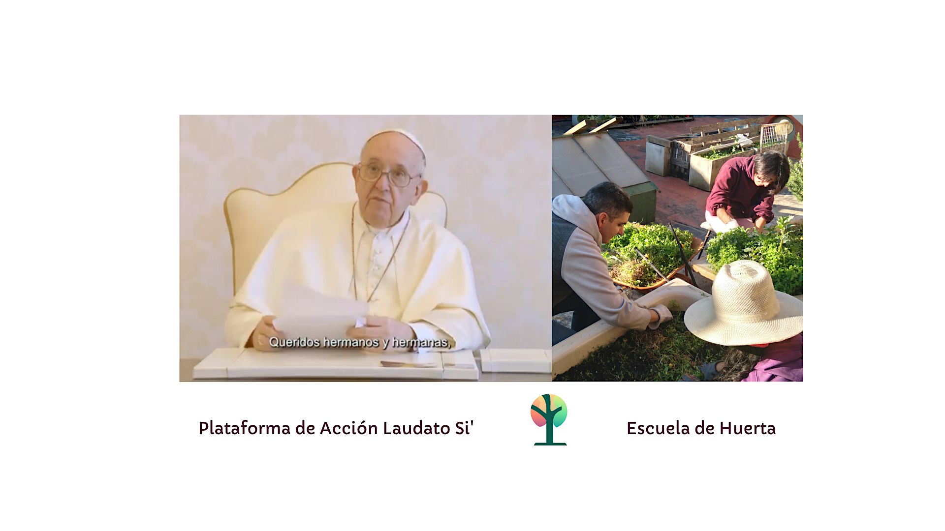 Plataforma de Acción Laudato Si' — Ayudanos a ayudar