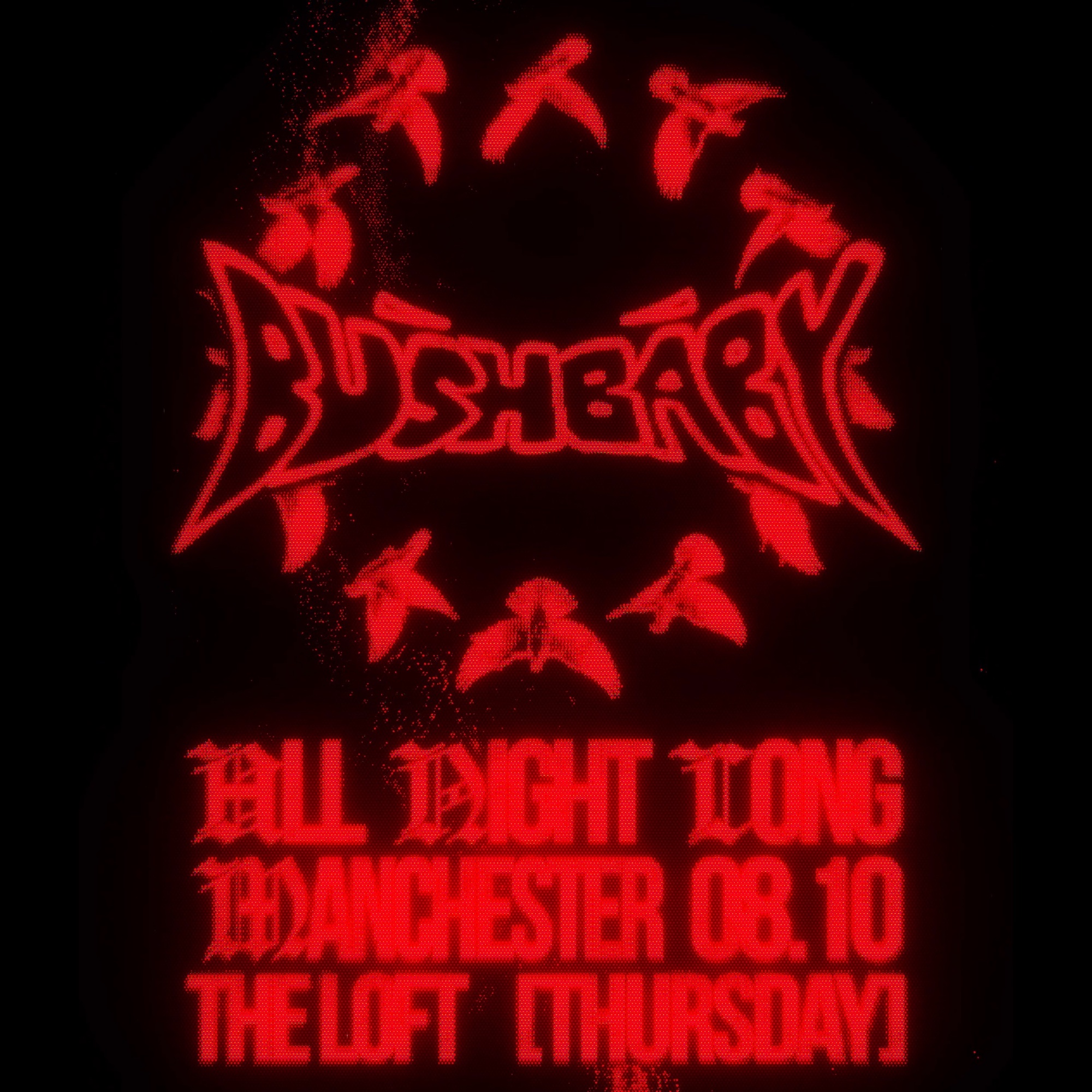 The Loft: Bushbaby (All Night Long)