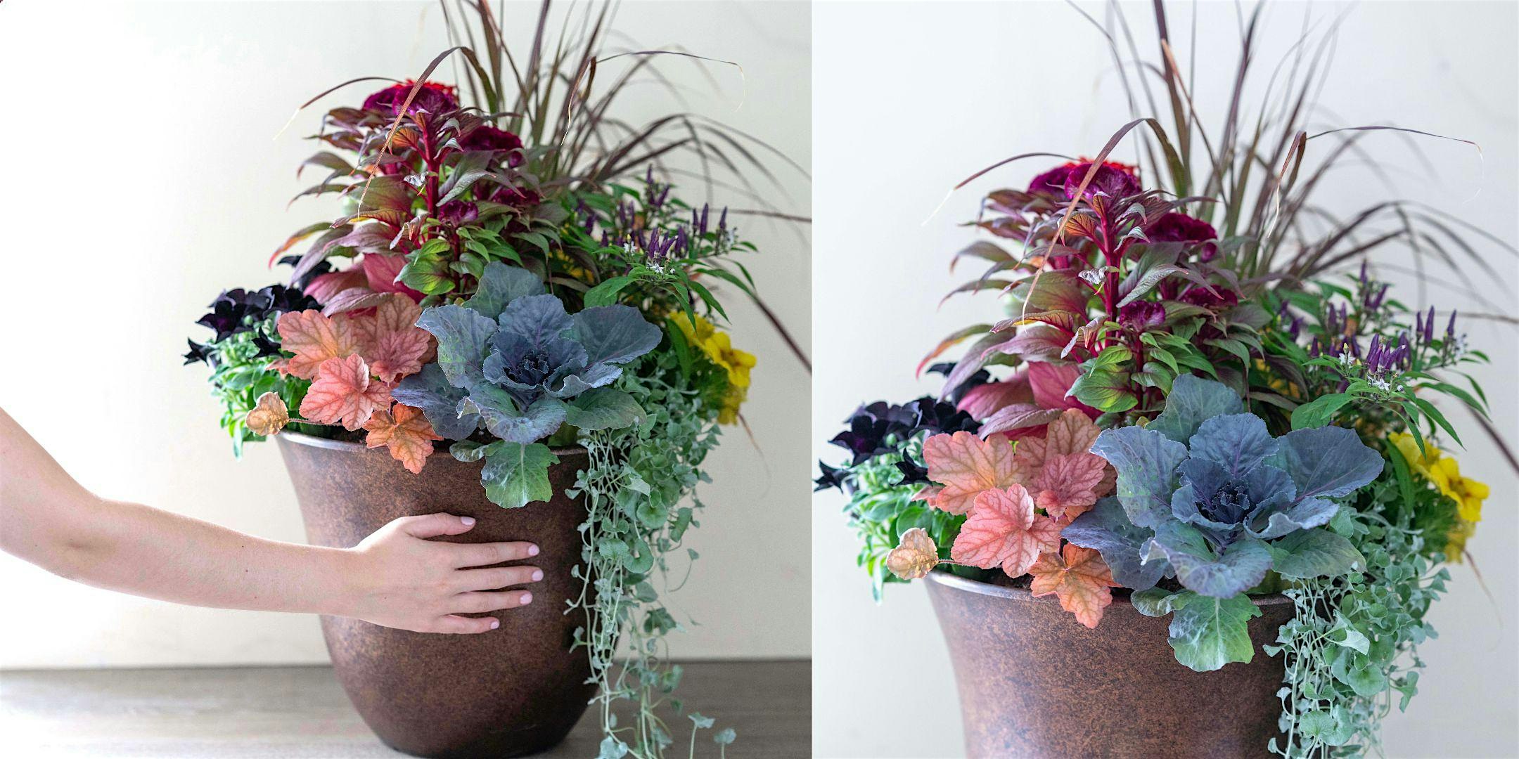 Make-n-Take: Fall Container Garden at Mahoney's Brighton
