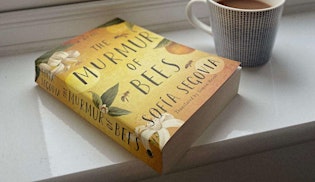 Book Club - The Murmur of Bees- Adventures in CDMX