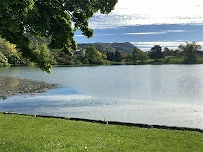 WIM UK: A One-day Gathering for Sober Women - May 2027