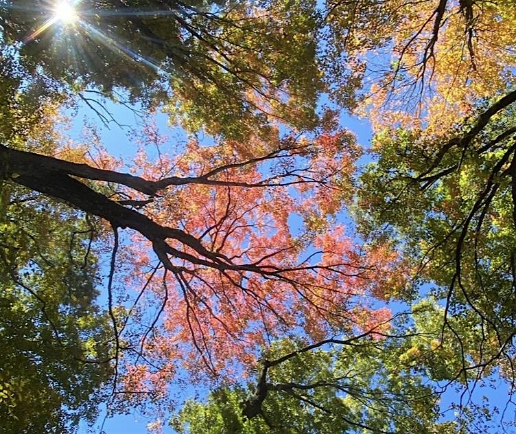 All Forward CONNECTIONS: FALL FORWARD in partnership with Whine with HR