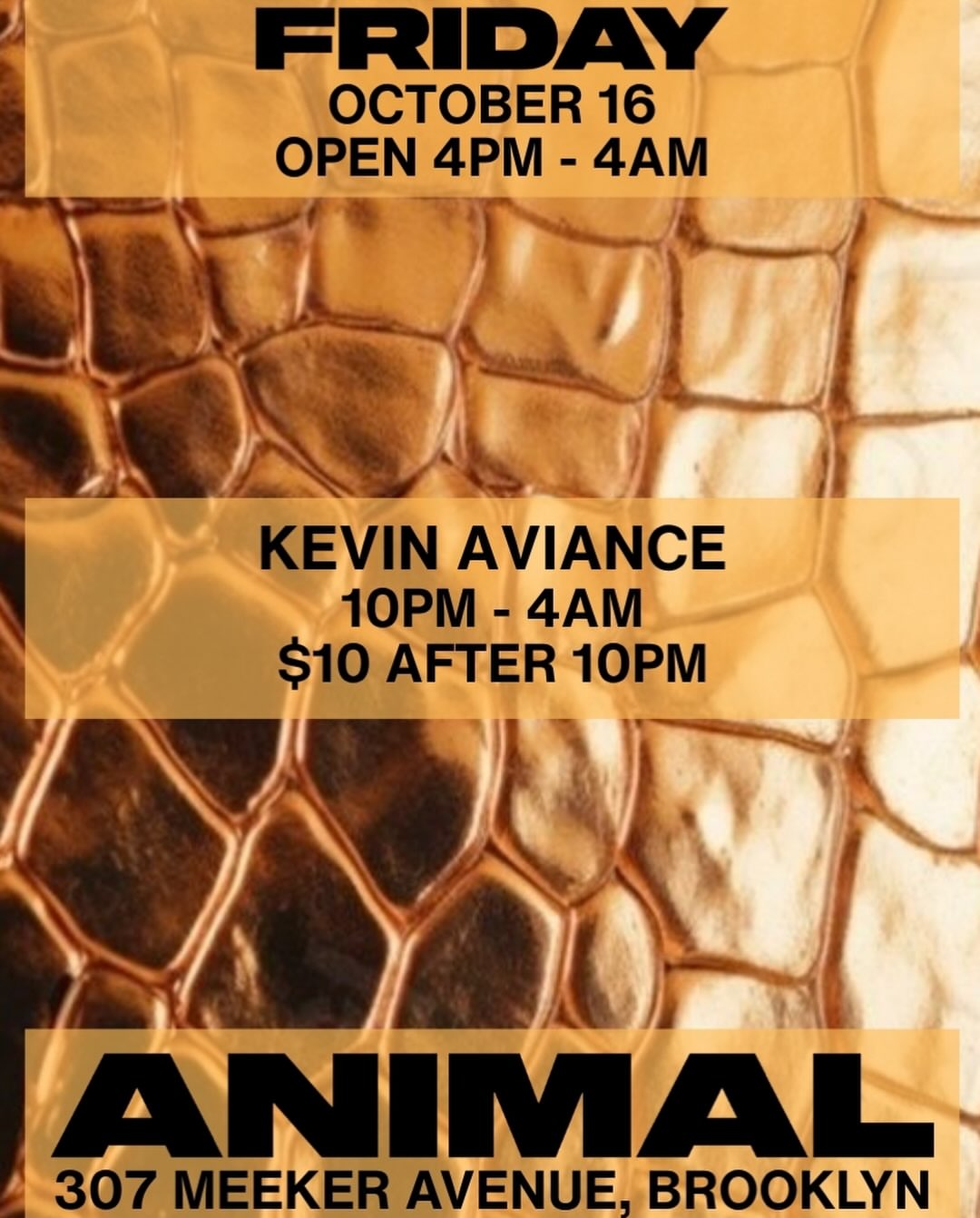 ANIMAL Friday Night w/ Kevin Aviance