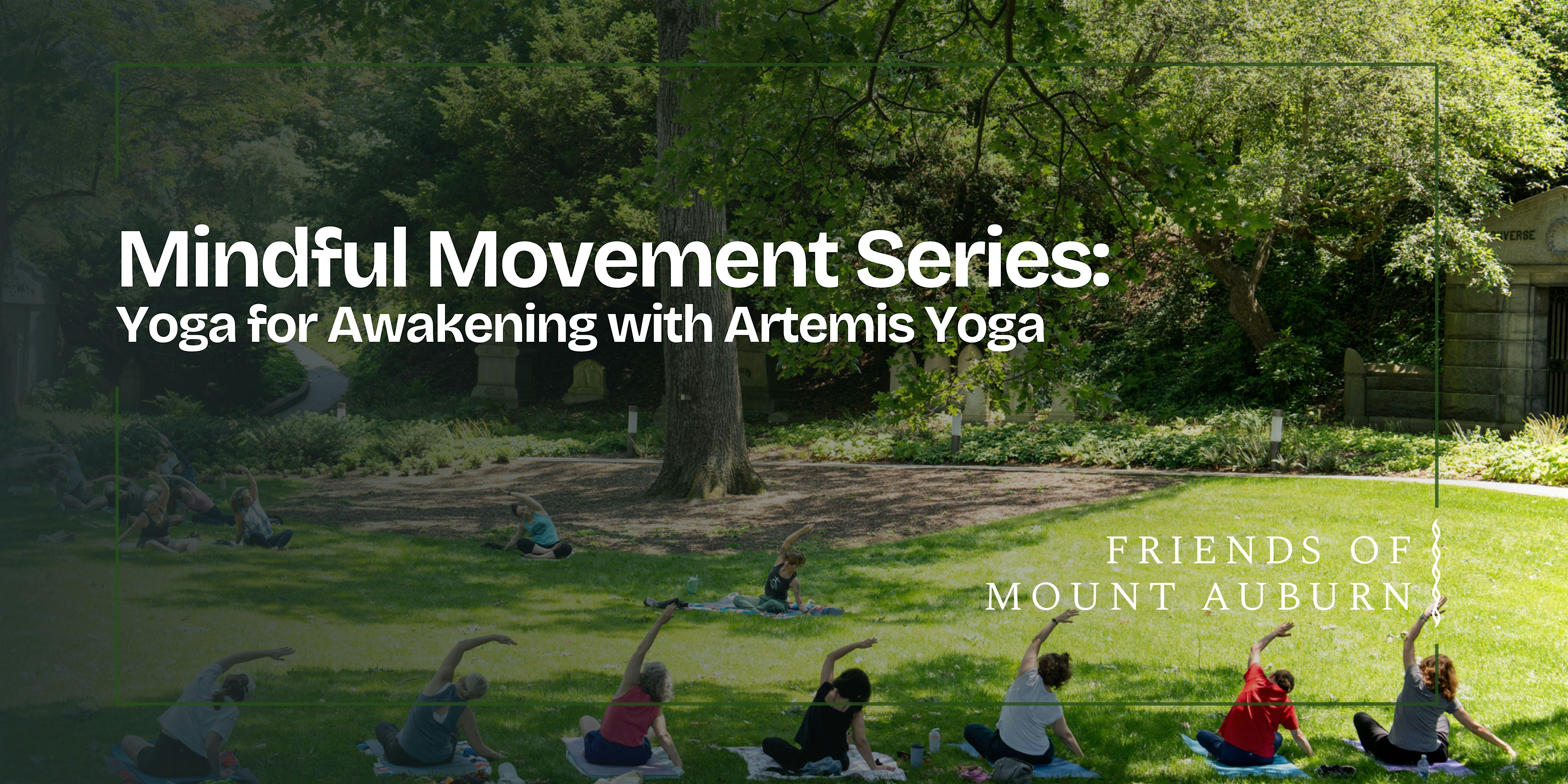 Yoga for Awakening with Artemis Yoga