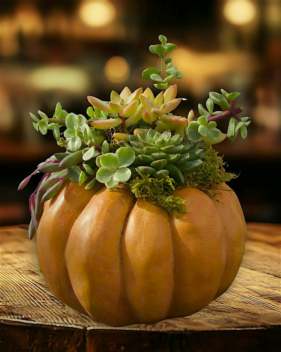 Succulent Pumpkins @ Littleton Brewing Company.