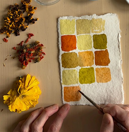 Creating natural ink with homegrown flowers and local plants