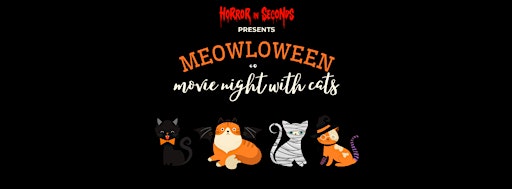 Meowloween movie night with cats