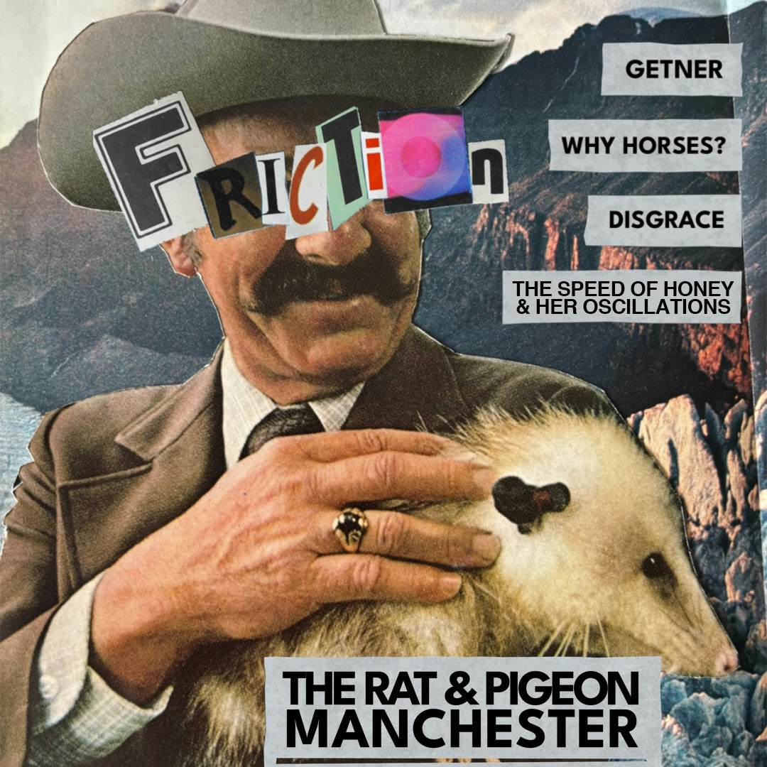 Friction: ft. Why Horses?, Getner, Disgrace, The Speed Of Honey & Her Oscillations 