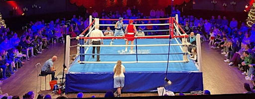 The Dublin Boxing Showdown: Kellie Harrington & The Elite