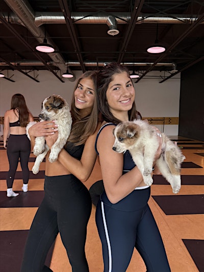 PUPPY YOGA DETROIT