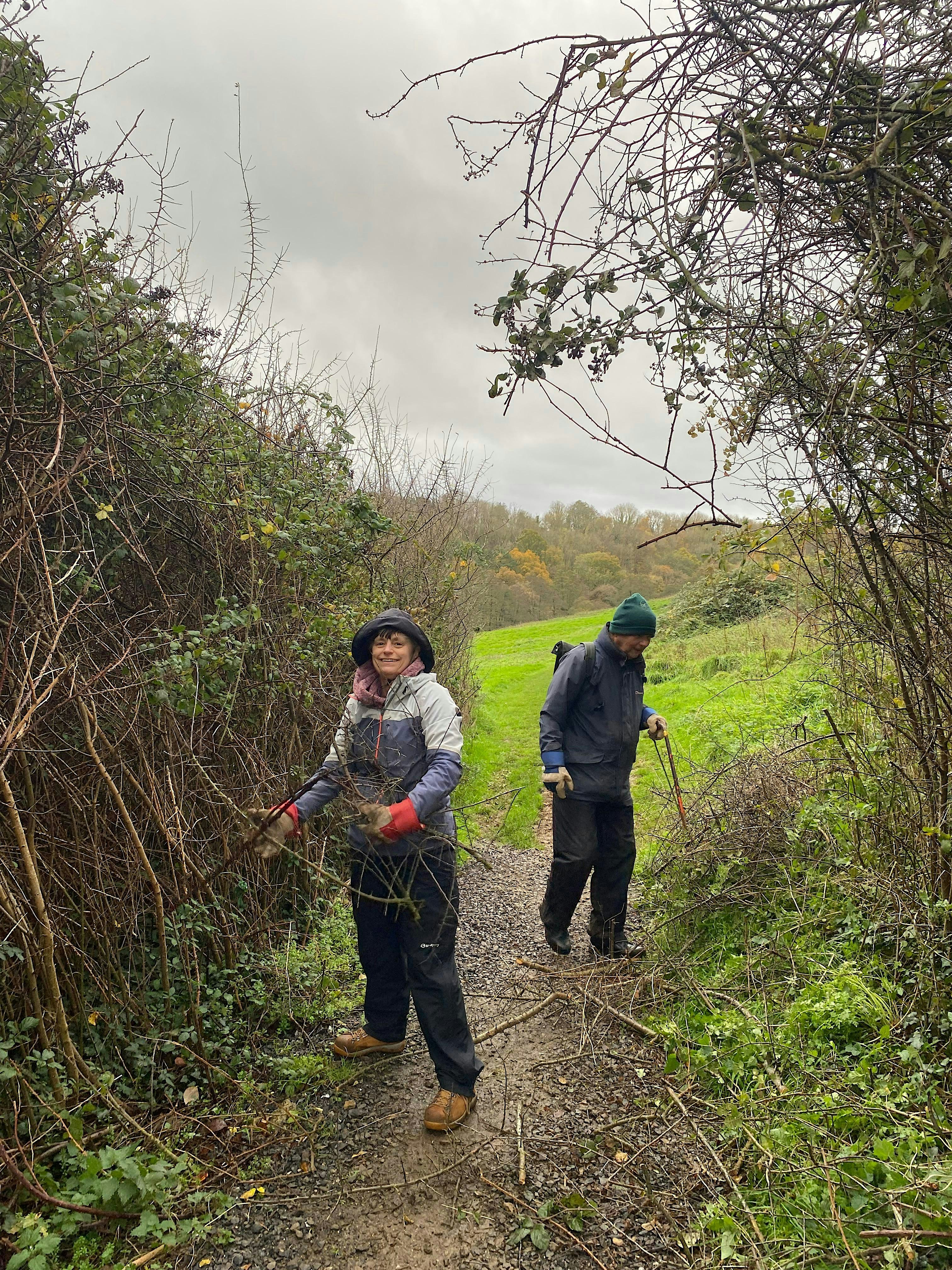 Cotoneaster Removal at Hardwick Field