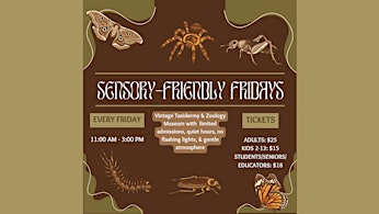 Sensory Friendly Friday