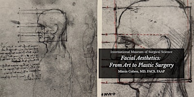 Facial Aesthetics: from Art to Plastic Surgery Part 2